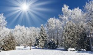 Kış Gündönümü Günü: tarih ve gelenekler 24 Aralık Kış Gündönümü Günü