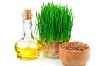 How to use wheat germ oil?